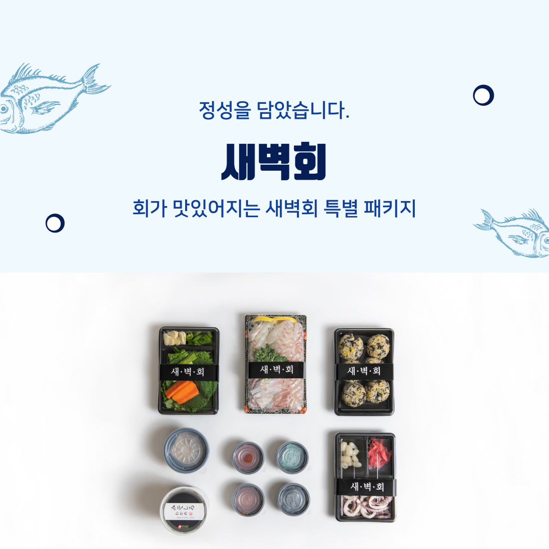새벽회메인4m