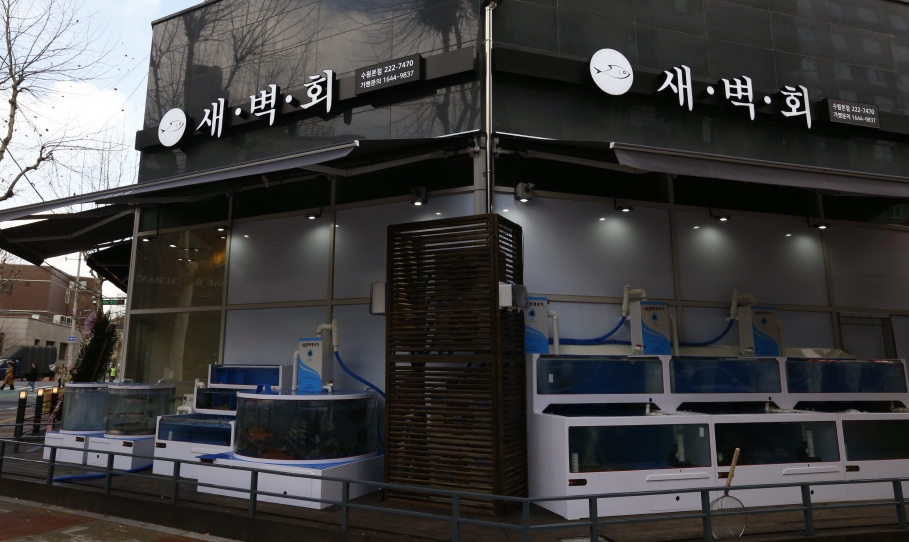 새벽회 정보